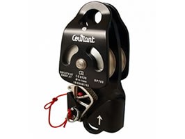 rplipcp2bk